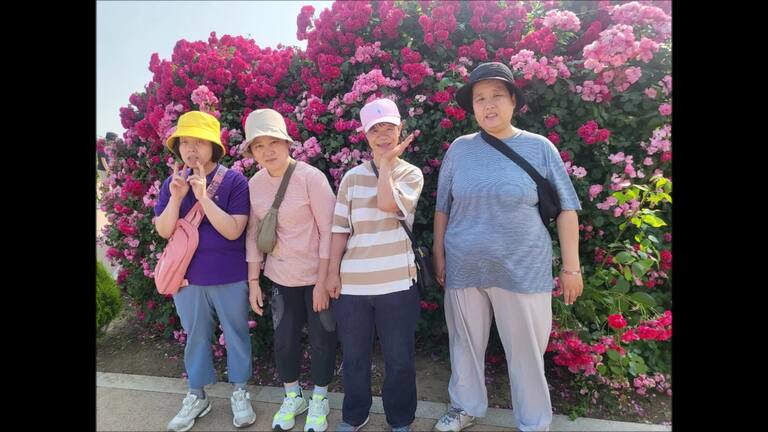 하양 대부잠수교 장미 꽃 구경 산책 - 2025년 5월 30일(금)